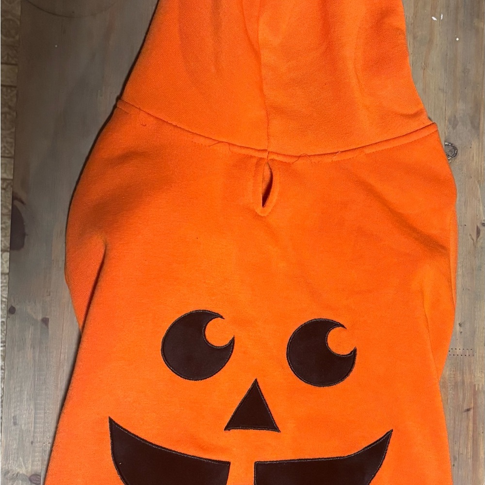 Orange Pumpkin Dog Hoodie